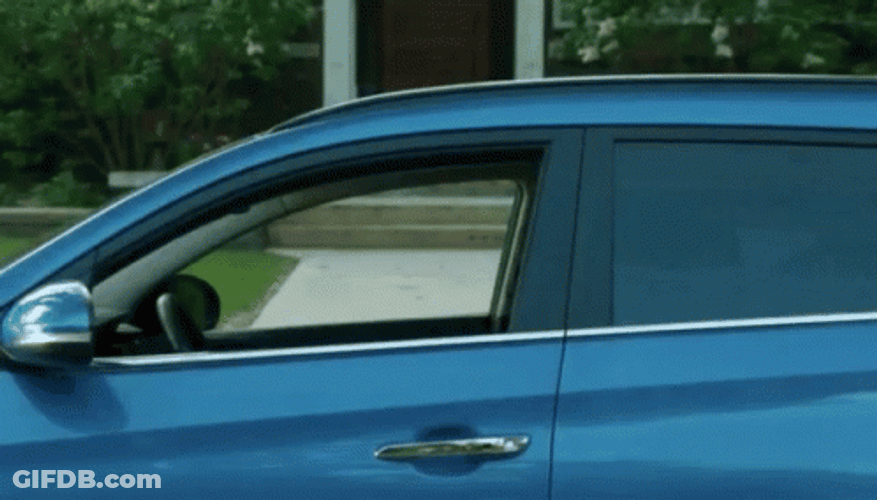 A Lady Van Driver GIF
