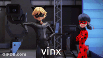 A Ladybug And Cat Noir Are Standing Next To Each Other And The Word Vinx Is Visible GIF