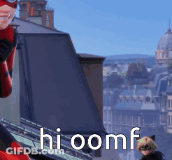 A Ladybug And Cat Noir Are Standing On A Roof With The Words Hioomf Written In White Letters . GIF