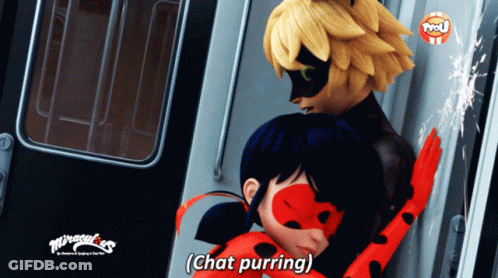 A Ladybug And Cat Noir From Miraculous Are Hugging On A Train GIF