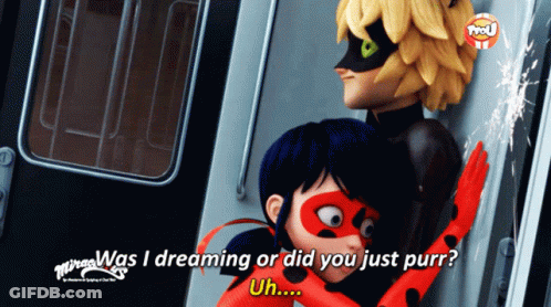 A Ladybug And Cat Noir From Miraculous Are Hugging On A Train GIF