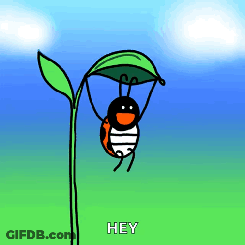 A Ladybug Hanging From A Green Leaf With The Word Hey Below It GIF