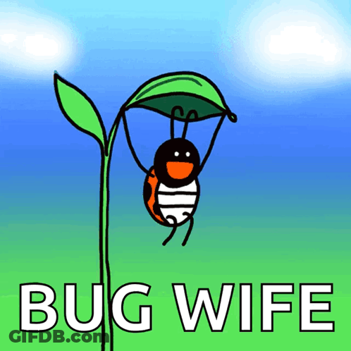 A Ladybug Is Hanging From A Green Leaf With The Words Bug Wife Written Below It GIF