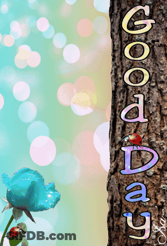 A Ladybug Is Sitting On A Tree Trunk With The Words Good Day Written On It GIF