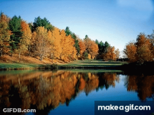 A Lake Surrounded By Trees And A Make A Gif.com Watermark GIF