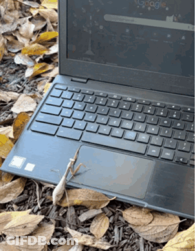 A Laptop Is Open To A Google Page GIF