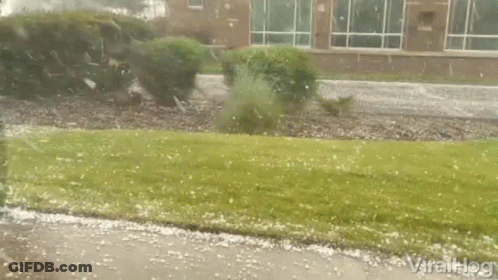 A Large Amount Of Hail Is Falling On A Lush Green Lawn GIF