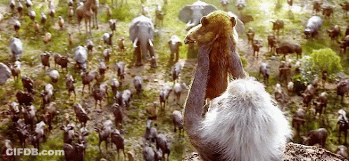 A Large Bird With A Long Neck Stands In Front Of A Herd Of Animals GIF