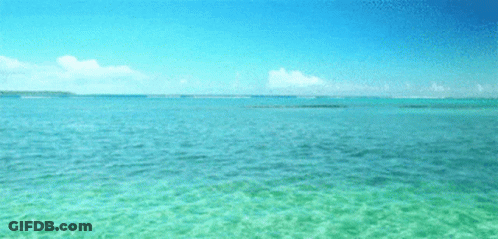 A Large Body Of Water With A Blue Sky And White Clouds In The Background GIF