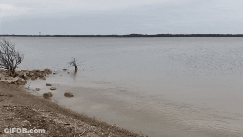 A Large Body Of Water With Rocks And Trees In The Foreground GIF