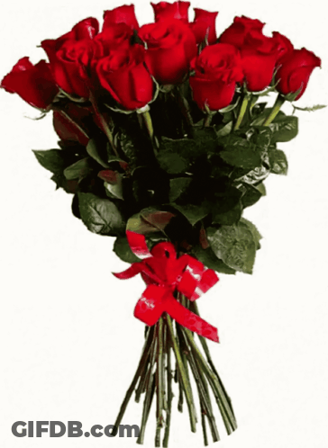 A Large Bouquet Of Red Roses With A Red Ribbon GIF