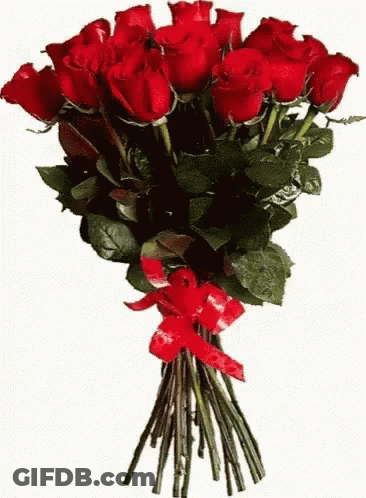 A Large Bouquet Of Red Roses With A Red Ribbon GIF
