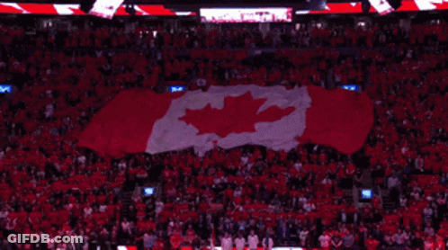 A Large Canadian Flag Is Being Displayed In A Stadium Full Of People GIF