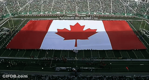 A Large Canadian Flag Is Displayed On The Field GIF