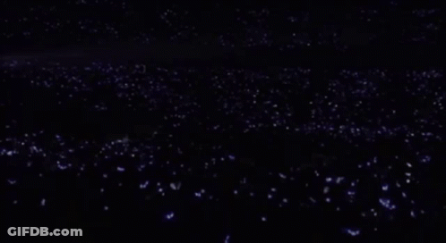 A Large Crowd Of People Are Watching A Concert In A Stadium . GIF