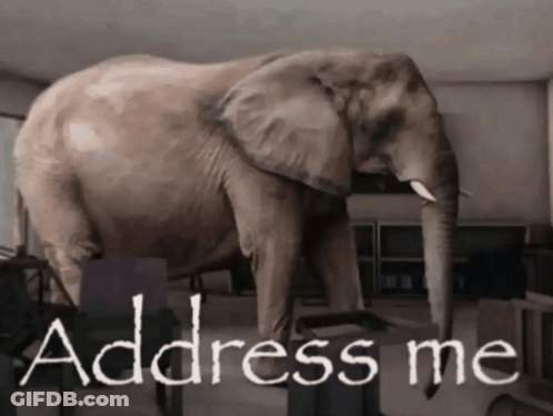 A Large Elephant Is Standing In A Room With The Words Address Me Above It GIF