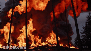 A Large Fire In The Woods With Smoke Coming Out Of The Trees GIF