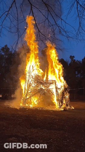 A Large Fire Is Burning In A Field With A Tree In The Background GIF