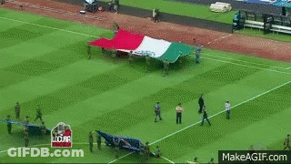 A Large Flag Is Being Displayed On A Soccer Field GIF