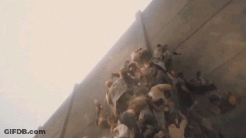 A Large Group Of People Are Standing Next To Each Other Against A Wall . GIF