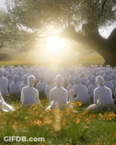 A Large Group Of People Sitting Under A Tree GIF