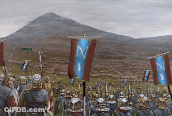 A Large Group Of Soldiers Are Standing In A Field With Flags With The Letter N On Them GIF