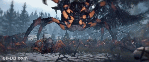 A Large Orange And Black Spider Is Standing In The Middle Of A Field GIF