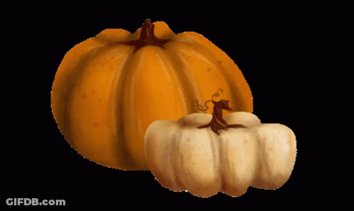 A Large Orange Pumpkin And A Smaller White Pumpkin Are On A Black Background GIF