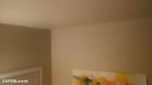 A Large Painting Is Hanging On A Wall Next To A Window GIF