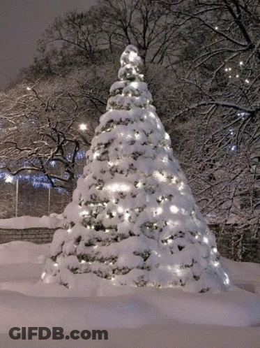 A Large Snow Covered Christmas Tree With Lights On It GIF