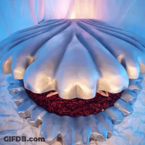 A Large White Shell With A Red Heart Inside GIF