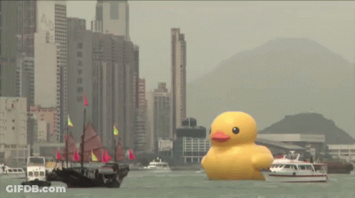 A Large Yellow Rubber Duck Is Floating In A Body Of Water In Front Of A City GIF