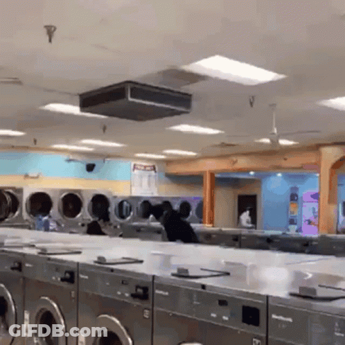 A Laundromat With Lots Of Washers And Dryers And A Sign That Says No Pets GIF