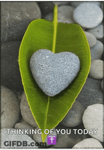 A Leaf With A Heart Shaped Rock On It And The Words Thinking Of You Today Below It GIF