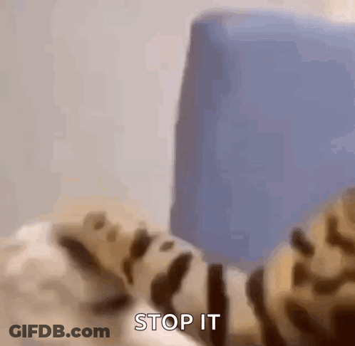 A Leopard Print Cat Is Laying On A Bed With The Words `` Stop It '' Written On The Bottom . GIF
