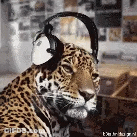 A Leopard Wearing Headphones With The Website B3ta.hnldesign.nl In The Lower Right Corner GIF