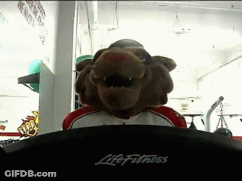 A Life Fitness Treadmill With A Stuffed Animal In The Background GIF