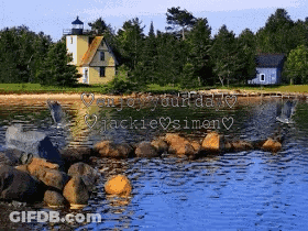 A Lighthouse Sits On The Shore Of A Body Of Water Surrounded By Trees GIF