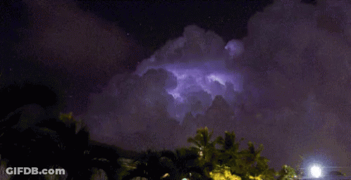 A Lightning Bolt Is Visible In The Night Sky Above A Fence And Palm Trees GIF