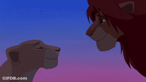 A Lion And A Lioness Looking At Each Other With A Blue Sky In The Background GIF