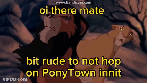 A Lion And A Lioness Standing Next To Each Other With The Words " Oi There Mate " GIF