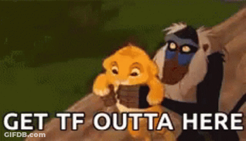 A Lion And A Monkey From The Lion King Are Sitting On A Rock . GIF
