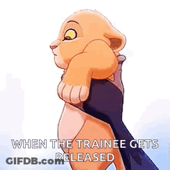 A Lion Cub From The Lion King Is Holding Onto A Person 'S Arm . GIF