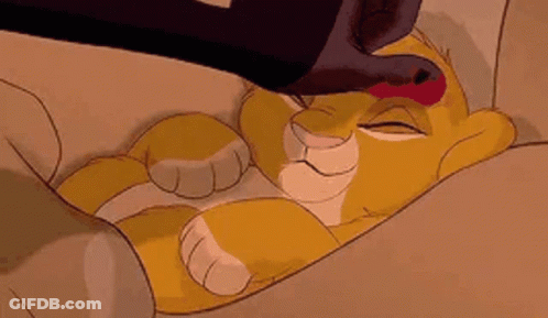 A Lion Cub From The Lion King Is Sleeping On A Couch With A Person Petting It . GIF