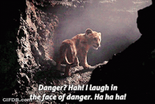 A Lion Cub In A Cave With The Words Danger Hah I Laugh In The Face Of Danger GIF