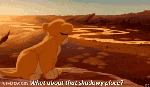 A Lion Cub Is Sitting On A Rock And Asking What About That Shadowy Place .. GIF