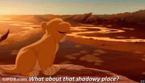 A Lion Cub Is Sitting On A Rock With The Words What About That Shadowy Place Below It GIF