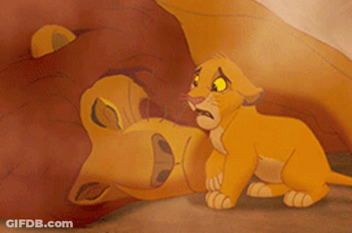 A Lion Cub Laying On Top Of A Lion GIF