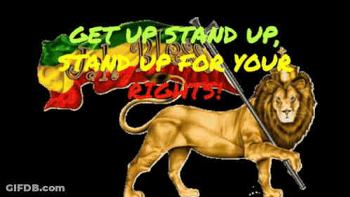 A Lion Holding A Flag With The Words " Get Up Stand Up Stand Up For Your Rights " GIF