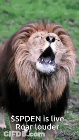 A Lion Is Roaring In The Grass With A Caption That Says $ Spdn Is Live Roar Louder . GIF